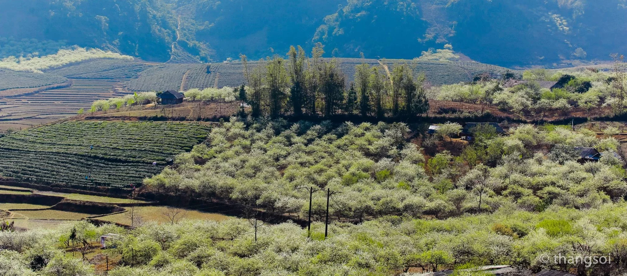 Bộ tiêu chí đánh giá nông nghiệp sinh thái Mộc Châu