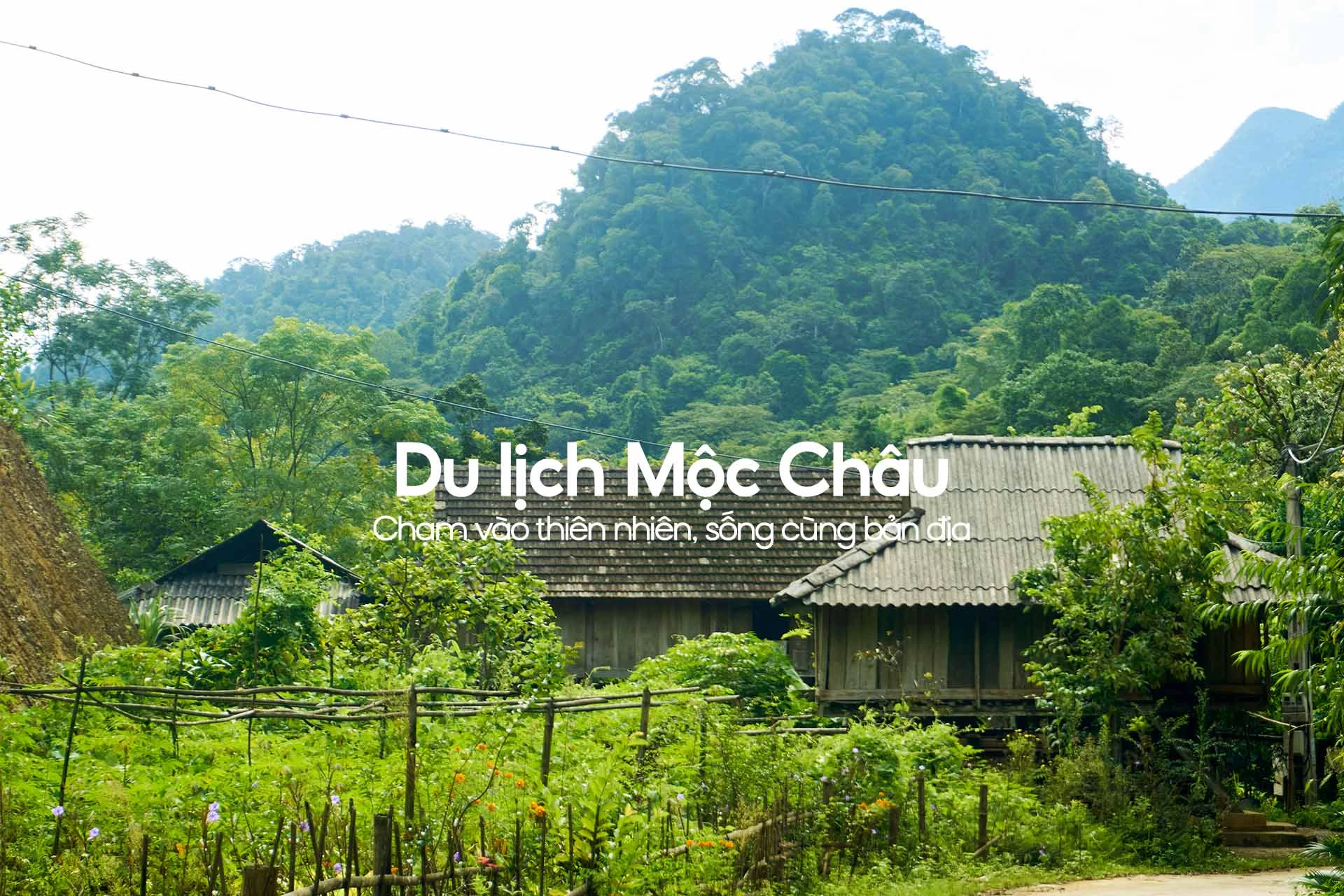 Lên kế hoạch cho chuyến đi