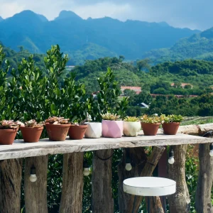 Homestay Đồi Thông - HTX Rau An toàn Tự nhiên