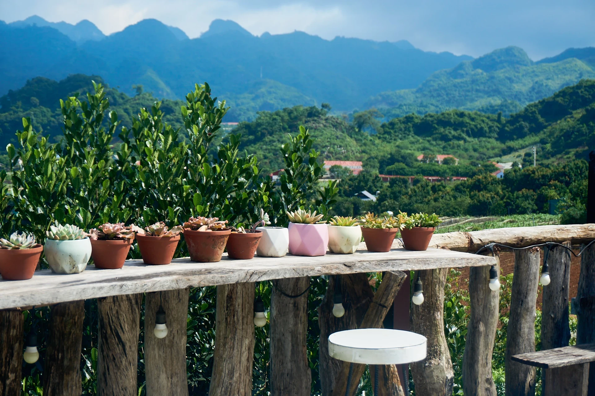 Homestay Đồi Thông - HTX Rau An toàn Tự nhiên