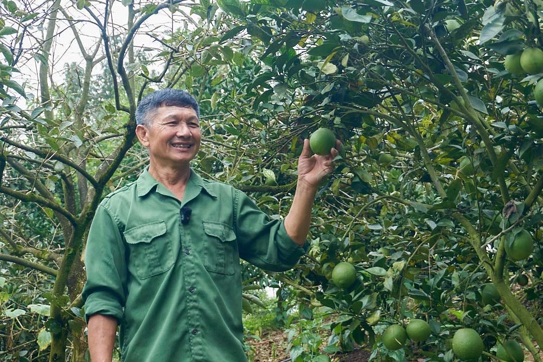 HTX Nông nghiệp Quyết Thanh