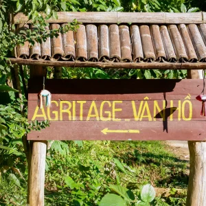 Vân Hồ Agritage - HTX Đồng Rừng