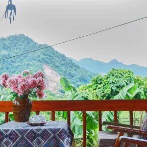 Hoa Mộc Miên Homestay
