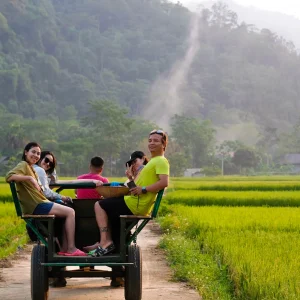Chuyện của cánh rừng – Bướt gọi